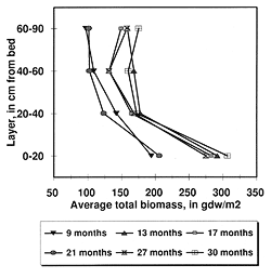 graph showing total biomass in the flume, 1995 through 1997