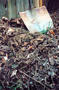 Compost Pile