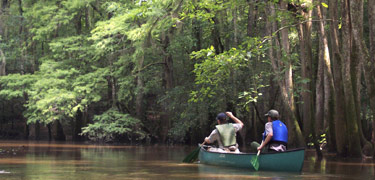 Canoeing on Cedar Creek