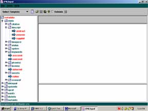 image of Extensible Markup Language input template screen