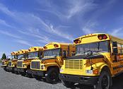 line of school buses