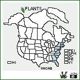 Distribution of Vaccinium caesariense Mack.. . Image Available. 