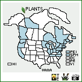 Distribution of Vaccinium macrocarpon Aiton. . Image Available. 