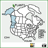 Distribution of Poa laxiflora Buckley. . Image Available. 