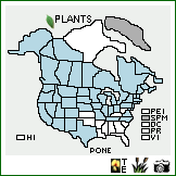 Distribution of Poa nemoralis L.. . Image Available. 