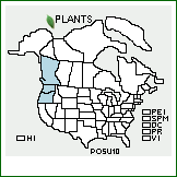 Distribution of Poa suksdorfii (Beal) Vasey ex Piper. . 