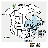 Distribution of Sisyrinchium montanum Greene var. crebrum Fernald. . 