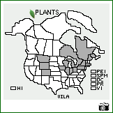 Distribution of Viburnum lantana L.. . Image Available. 