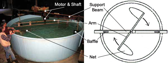 Circular tank and net towing apparatus.