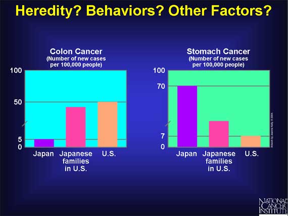 Heredity? Behaviors? Other Factors?