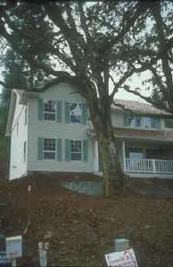 House in the Urban Forest