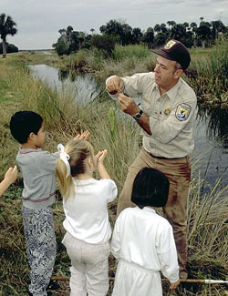 USFWS Photo