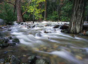 Flowing creek