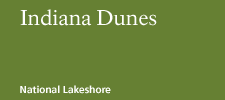 Indiana Dunes National Lakeshore