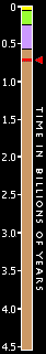 timebar 650 million years ago