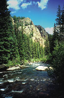 Photograph of typical high-elevation stream in the UCOL study unit.