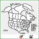 Distribution of Cyperus esculentus L. var. hermannii (Buckley) Britton. . 