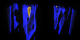 Animated isosurfaces of earth stress below Hawaii. The blue objects indicate the shape of the stress distribution and the yellow objects indicate the high stress areas.