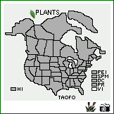 Distribution of Taraxacum officinale F.H. Wigg. ssp. officinale. . Image Available. 