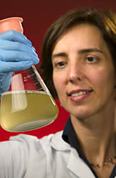 Maria Brandl holds vial containing protozoa in a liquid medium.  Link to photo information