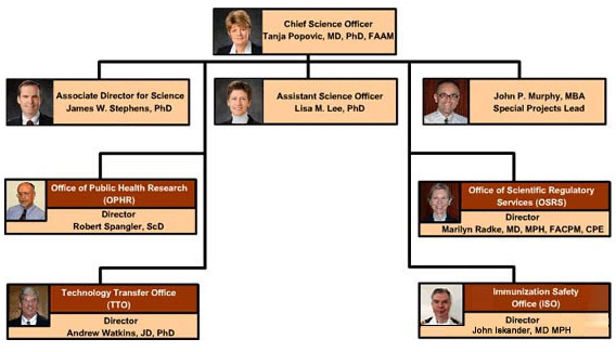 OCSO Organizational Chart