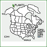 Distribution of Prunus pleuradenia Griseb.. . 