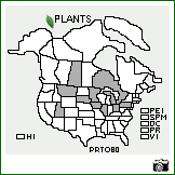 Distribution of Prunus tomentosa Thunb.. . Image Available. 