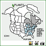 Distribution of Rudbeckia fulgida Aiton var. speciosa (Wender.) Perdue. . Image Available. 