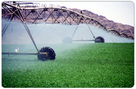 Irrigation Technique