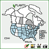 Distribution of Proboscidea louisianica (Mill.) Thell. ssp. louisianica. . Image Available. 