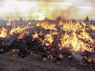 wildfire on refuge