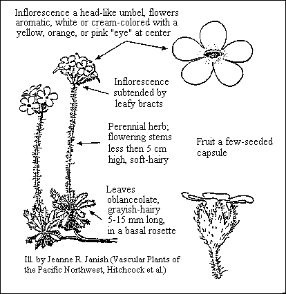 GIF -- Species Line Drawing