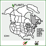 Distribution of Solanum dulcamara L. var. villosissimum Desv.. . 