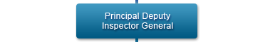 Principal Deputy Inspector General