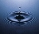 Water drop