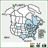 Distribution of Eleocharis olivacea Torr. var. olivacea. . Image Available. 