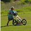 Archeologist pushing cart with ground-penetrating radar.