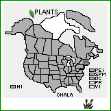 Distribution of Chenopodium album L. var. album. . 