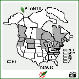 Distribution of Ribes rubrum L.. . Image Available. 