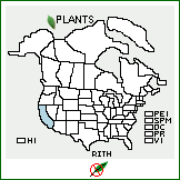 Distribution of Ribes thacherianum (Jeps.) Munz. . 