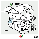 Distribution of Ribes watsonianum Koehne. . Image Available. 