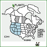 Distribution of Rumex salicifolius Weinm. var. denticulatus Torr.. . 