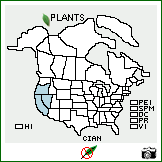 Distribution of Cirsium andersonii (A. Gray) Petr.. . Image Available. 