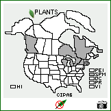 Distribution of Cirsium palustre (L.) Scop.. . Image Available. 