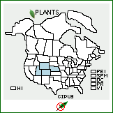 Distribution of Cirsium pulcherrimum (Rydb.) K. Schum.. . 