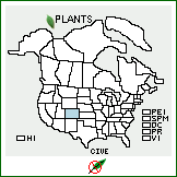 Distribution of Cirsium vernale (Osterh.) Cockerell. . 