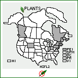 Distribution of Hieracium ×flagellare Willd. (pro sp.) [caespitosum × pilosella]. . 
