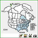 Distribution of Hieracium gronovii L.. . Image Available. 