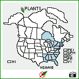 Distribution of Hieracium marianum Willd.. . Image Available. 