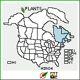 Distribution of Hieracium robinsonii (Zahn) Fernald. . 